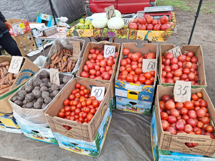 Навіть у південних регіонах України ціни на помідори у цей час значно вищі