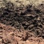 Наслідки обстрілів Слов'янська станом на ранок 2 серпня