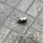 У Слов'янську 17-річний хлопець втратив пальці на руках: що сталося?