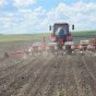 На скільки може подорожчати хліб: розрахунки фермера зі Слов’янщини